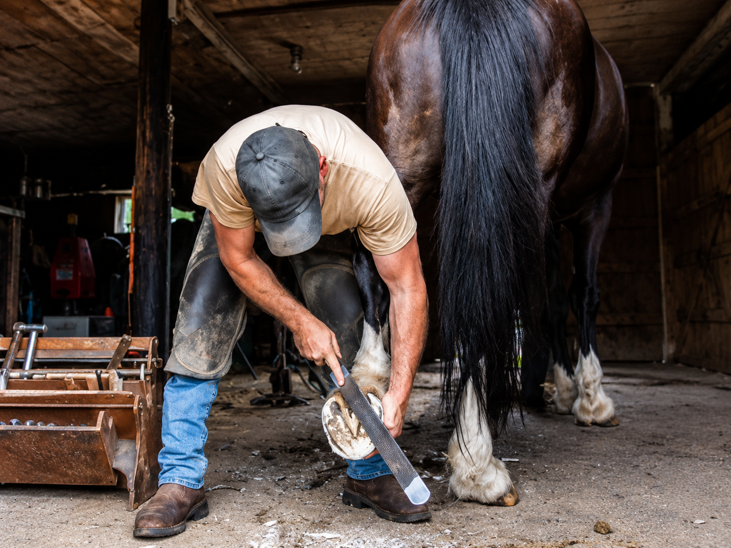 Farrier shaping a horse's hoof in a barn